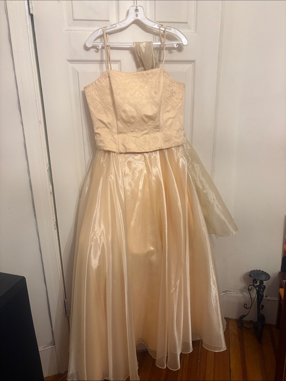 Shimmering Cream Party Dress with Embroidered Bodice with shawl